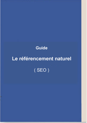 ebook seo