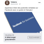 Yeleena facebook Ads